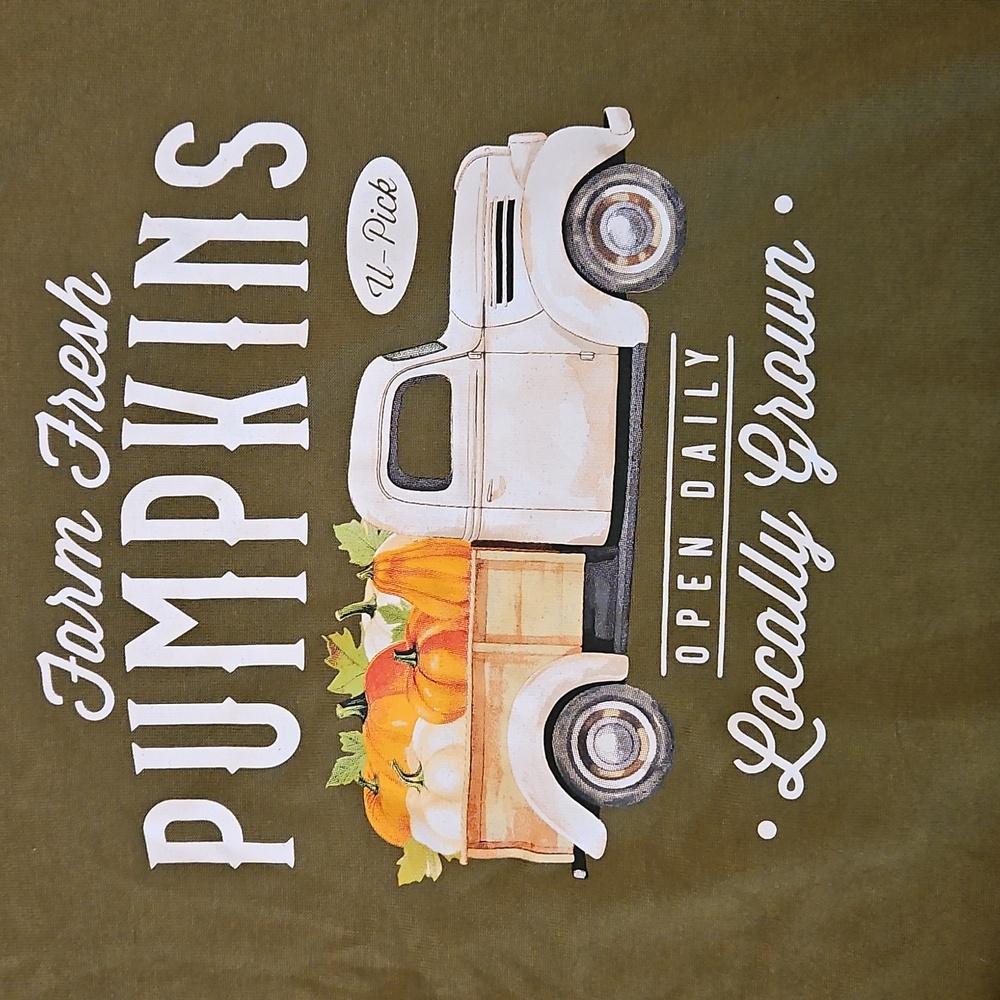 2 DAYS LEFT LAST CHANCE EUC LIKE NEW Womens' Plus Pumpkin Sweatshirt Sz.XXL (20) - Picture 3 of 8